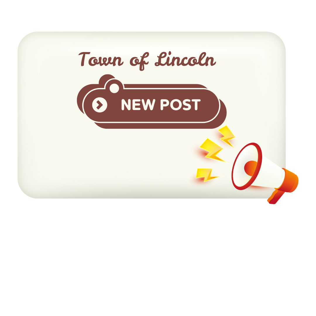 spring-election-on-april-1-2025-town-of-lincoln-kewaunee